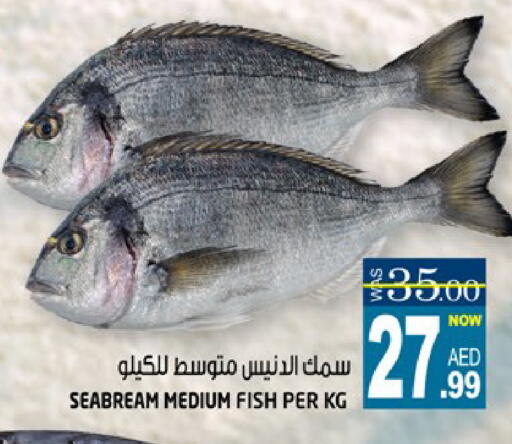 available at هاشم هايبرماركت in الإمارات العربية المتحدة , الامارات - الشارقة / عجمان