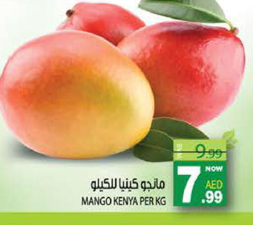 Mango from Kenya available at هاشم هايبرماركت in الإمارات العربية المتحدة , الامارات - الشارقة / عجمان