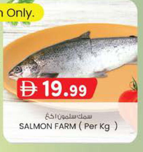 available at صفا اكسبريس سوبرماركت in الإمارات العربية المتحدة , الامارات - أبو ظبي