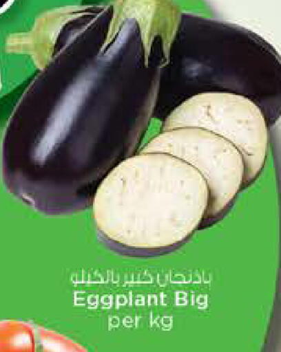 Eggplant available at Nesto Hypermarket in UAE - Sharjah / Ajman