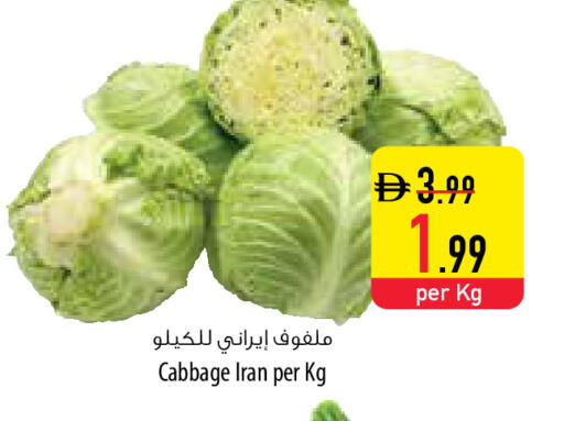 Cabbage from Iran available at Safeer Market in UAE - Fujairah