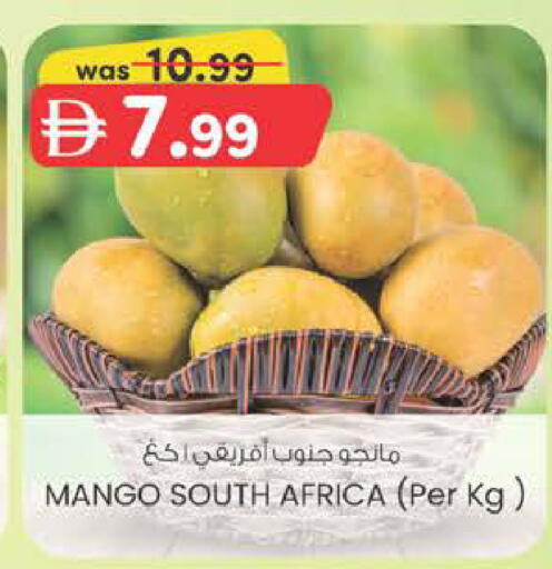 Mango from South Africa available at K M Trading  in UAE - Dubai