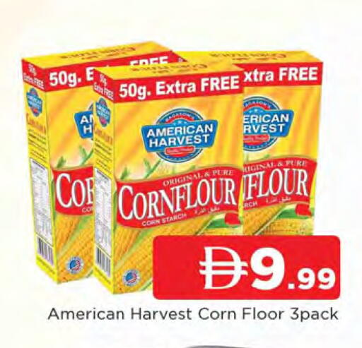 available at المدينة in الإمارات العربية المتحدة , الامارات - الشارقة / عجمان