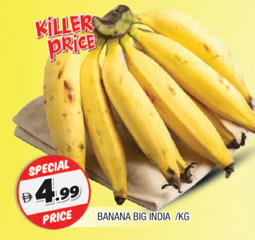 Banana from India available at المدينة in الإمارات العربية المتحدة , الامارات - الشارقة / عجمان