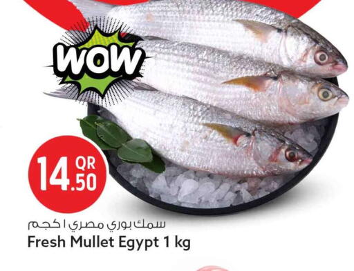 available at سفاري هايبر ماركت in قطر - الوكرة