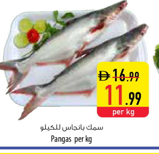 available at السفير ماركت in الإمارات العربية المتحدة , الامارات - أم القيوين‎