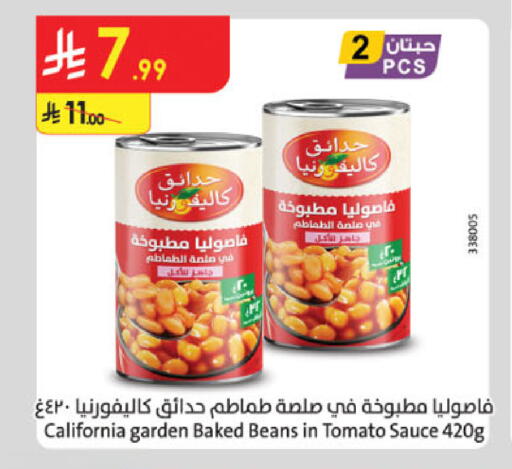 Tomato available at Danube in KSA, Saudi Arabia, Saudi - Khamis Mushait