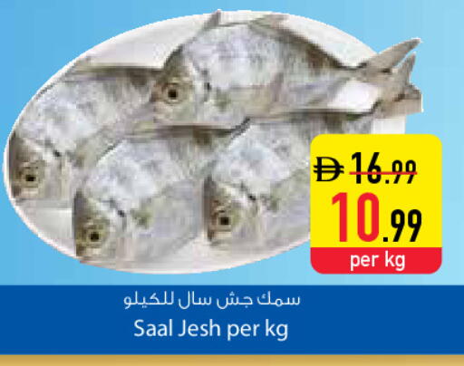 available at Safeer Market in UAE - Dubai