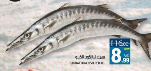 available at هاشم هايبرماركت in الإمارات العربية المتحدة , الامارات - الشارقة / عجمان