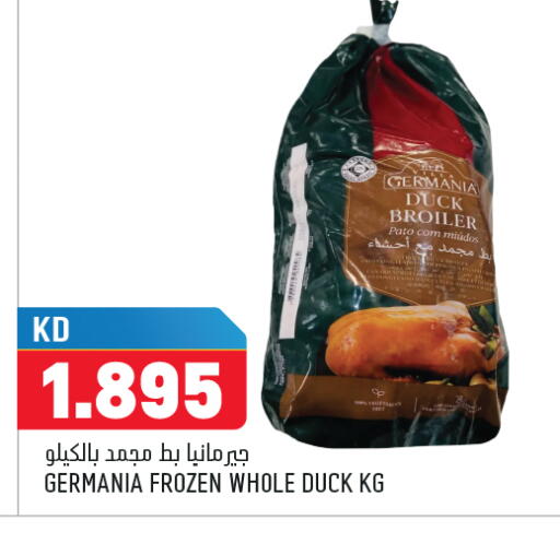 available at أونكوست in الكويت - محافظة الجهراء