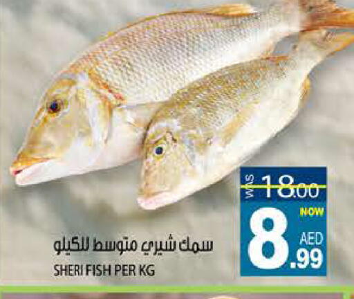 available at هاشم هايبرماركت in الإمارات العربية المتحدة , الامارات - الشارقة / عجمان