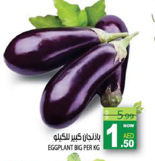 Eggplant available at هاشم هايبرماركت in الإمارات العربية المتحدة , الامارات - الشارقة / عجمان