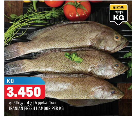 available at أونكوست in الكويت - محافظة الأحمدي