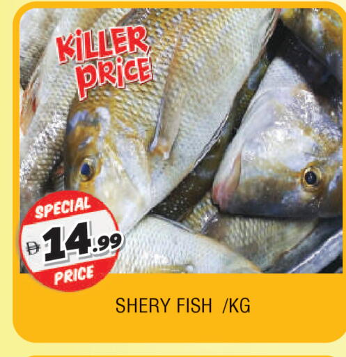 available at AL MADINA in UAE - Sharjah / Ajman