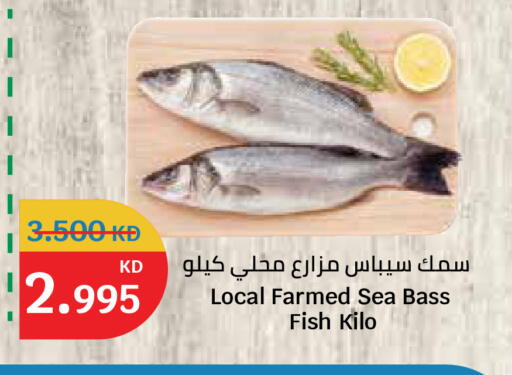 available at سيتي هايبرماركت in الكويت - محافظة الأحمدي