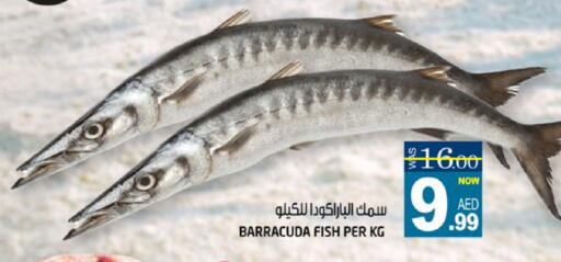 available at هاشم هايبرماركت in الإمارات العربية المتحدة , الامارات - الشارقة / عجمان