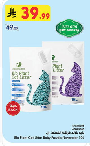 available at Bin Dawood in KSA, Saudi Arabia, Saudi - Ta'if