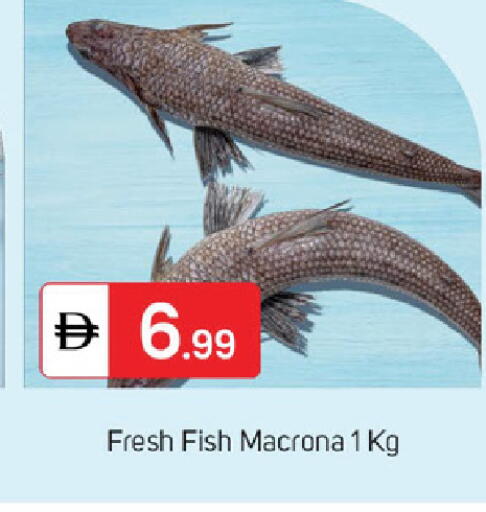 available at TALAL MARKET in UAE - Sharjah / Ajman