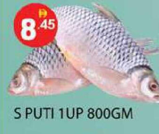 available at Zain Mart Supermarket in UAE - Ras al Khaimah