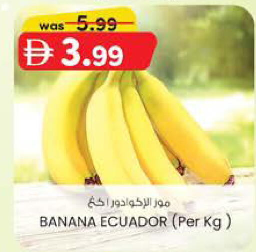 Banana available at الصفا in الإمارات العربية المتحدة , الامارات - ٱلْعَيْن‎