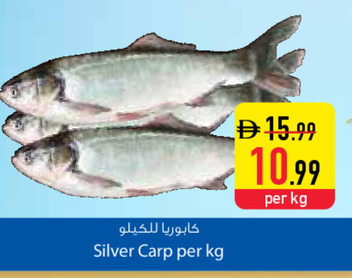 available at Safeer Market in UAE - Dubai