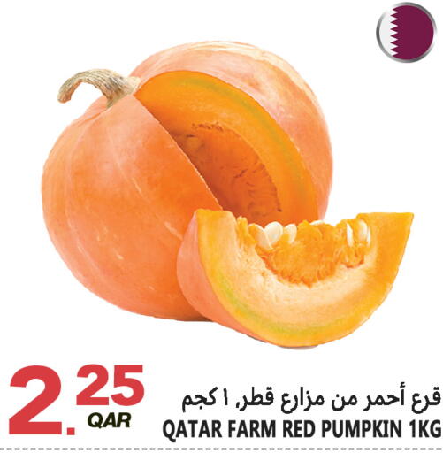 available at قصر الأغذية هايبرماركت in قطر - الخور