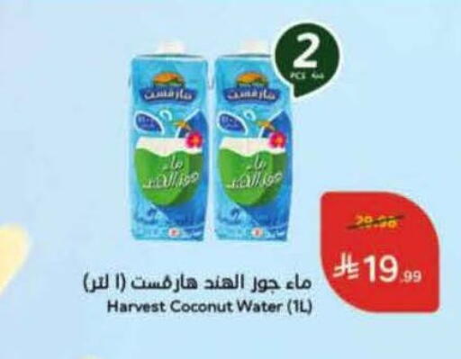 Coconut available at هايبر بنده in مملكة العربية السعودية, السعودية, سعودية - بيشة