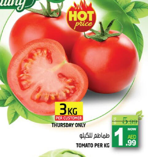 Tomato available at هاشم هايبرماركت in الإمارات العربية المتحدة , الامارات - الشارقة / عجمان