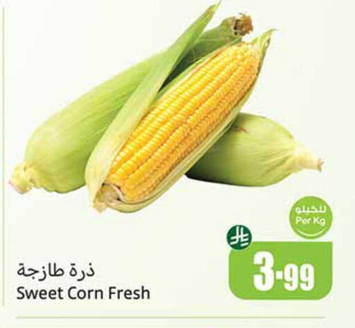 available at أسواق عبد الله العثيم in مملكة العربية السعودية, السعودية, سعودية - سكاكا