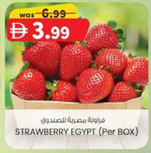 Strawberry from Egypt available at ك. الم. للتجارة in الإمارات العربية المتحدة , الامارات - ٱلْعَيْن‎
