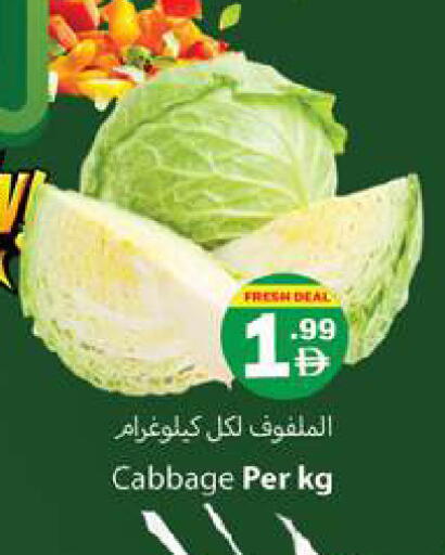 Cabbage available at Gulf Hypermarket LLC in UAE - Ras al Khaimah