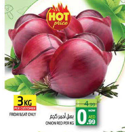 Onion available at هاشم هايبرماركت in الإمارات العربية المتحدة , الامارات - الشارقة / عجمان