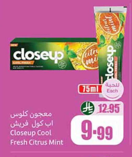 Mint available at Othaim Markets in KSA, Saudi Arabia, Saudi - Bishah