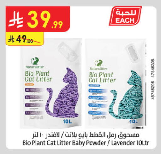 available at Danube in KSA, Saudi Arabia, Saudi - Ta'if