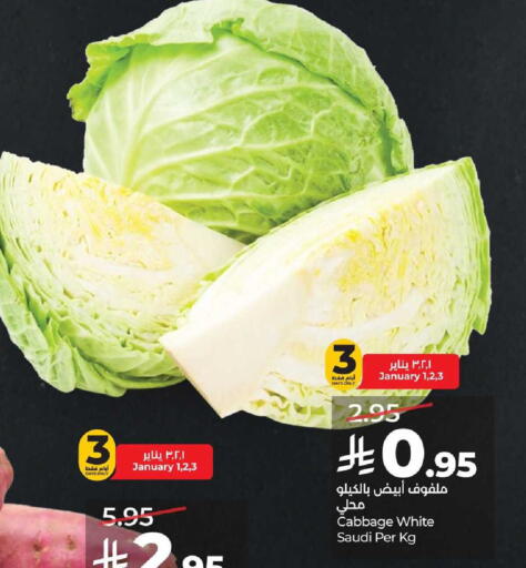 Cabbage from Saudi Arabia available at LULU Hypermarket in KSA, Saudi Arabia, Saudi - Al-Kharj