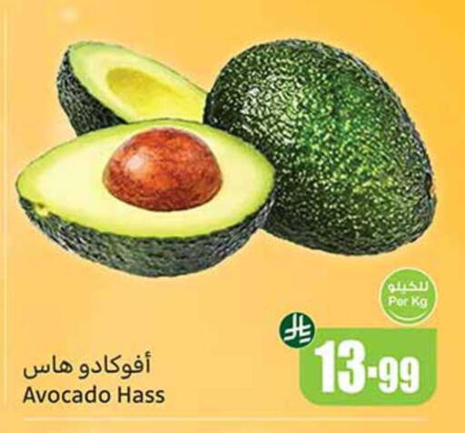 Avocado available at أسواق عبد الله العثيم in مملكة العربية السعودية, السعودية, سعودية - سكاكا
