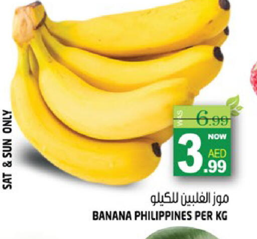 Banana available at هاشم هايبرماركت in الإمارات العربية المتحدة , الامارات - الشارقة / عجمان