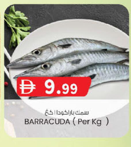 available at صفا اكسبريس سوبرماركت in الإمارات العربية المتحدة , الامارات - أبو ظبي