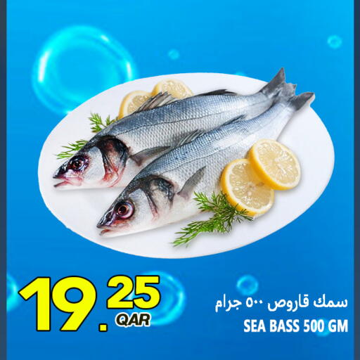 available at قصر الأغذية هايبرماركت in قطر - الدوحة