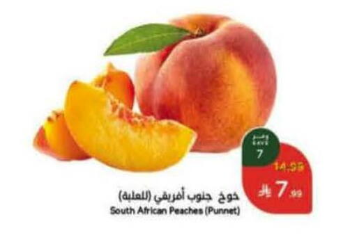 from South Africa available at Hyper Panda in KSA, Saudi Arabia, Saudi - Khamis Mushait