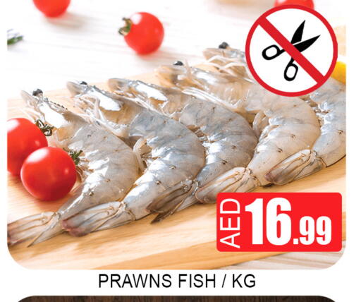 available at Lucky Center in UAE - Sharjah / Ajman