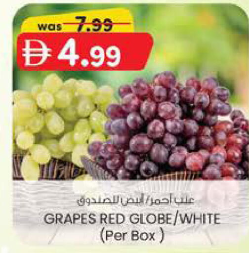 Grapes available at الصفا in الإمارات العربية المتحدة , الامارات - أبو ظبي
