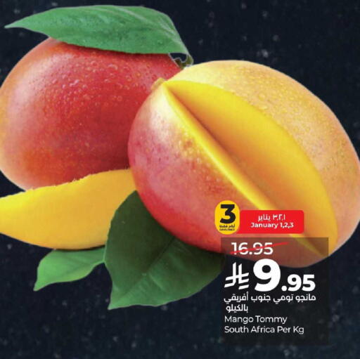Mango from South Africa available at LULU Hypermarket in KSA, Saudi Arabia, Saudi - Al-Kharj