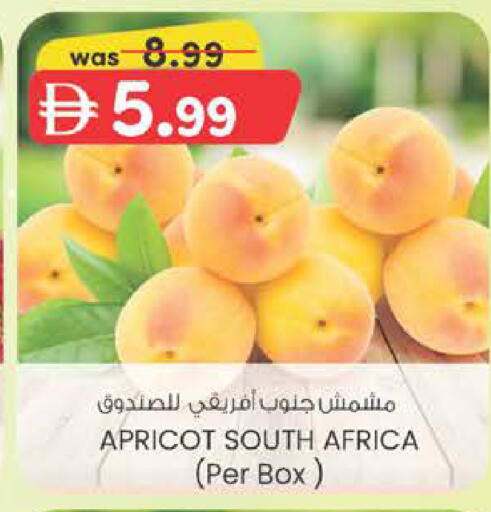 Apricot from South Africa available at K M Trading  in UAE - Dubai