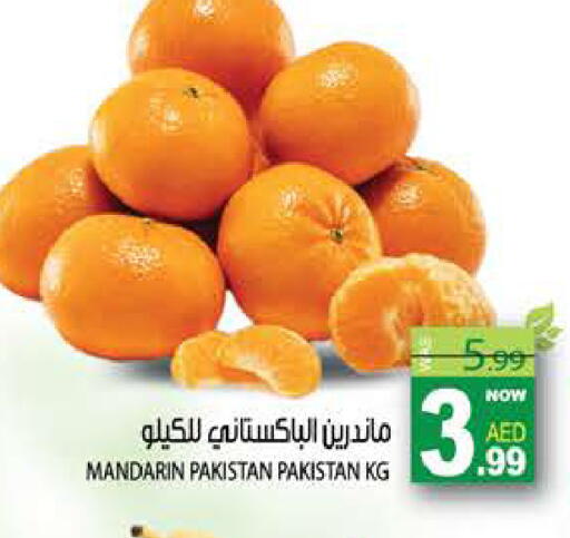 Mandarin from Pakistan available at هاشم هايبرماركت in الإمارات العربية المتحدة , الامارات - الشارقة / عجمان