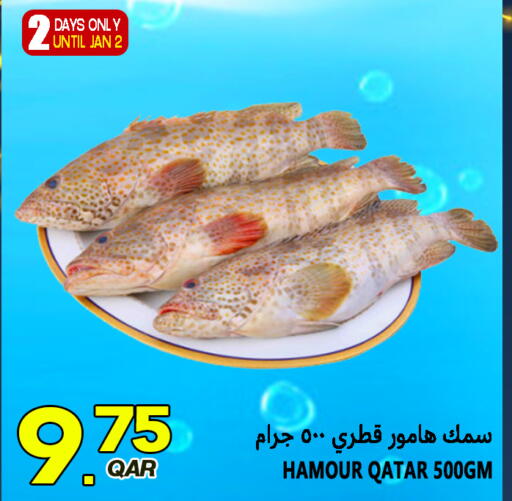 Chilli from Qatar available at قصر الأغذية هايبرماركت in قطر - الدوحة