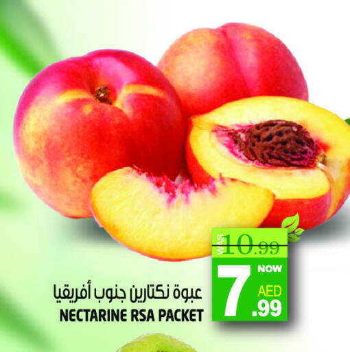 Nectarine available at Hashim Hypermarket in UAE - Sharjah / Ajman