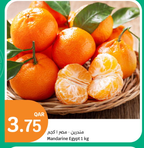 from Egypt available at City Hypermarket in Qatar - Al Rayyan