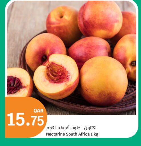 Nectarine from South Africa available at سيتي هايبرماركت in قطر - الشمال