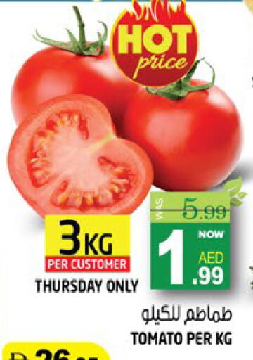 Tomato available at هاشم هايبرماركت in الإمارات العربية المتحدة , الامارات - الشارقة / عجمان